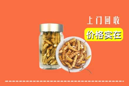 诚信求购:阜阳颍东区高价回收散虫草