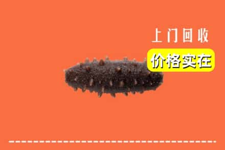 诚信求购:阜阳颍东区高价回收海参