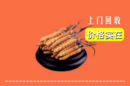 阜阳颍东区回收冬虫夏草