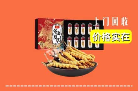 阜阳颍东区回收虫草